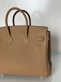 Hermes Chai Birkin 25 Bag with Palladium Hardware