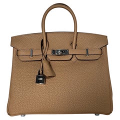 Hermes Chai Birkin 25 Bag with Palladium Hardware