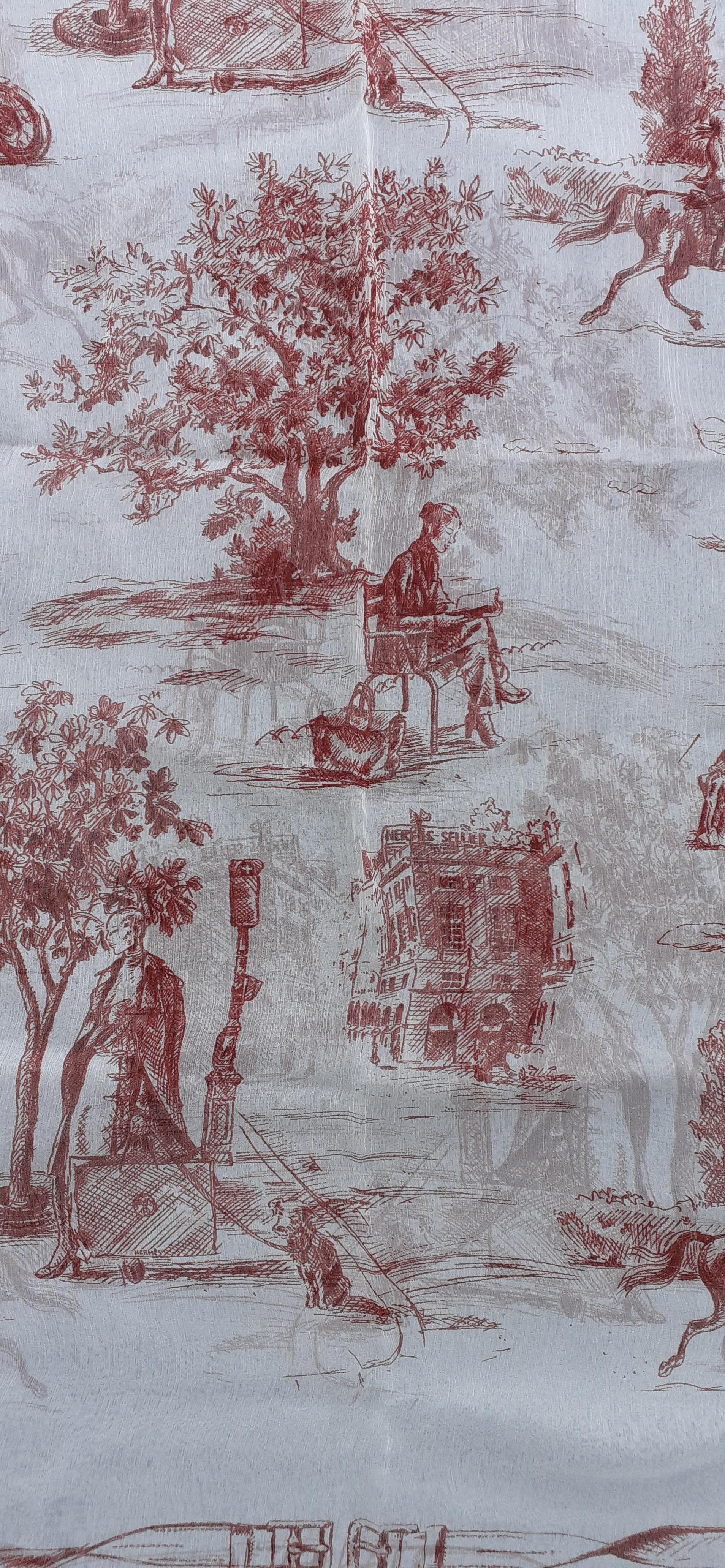 Gray Hermès Chiffon Mousseline Silk Scarf Long Stole Toile de Jouy Pattern Rare