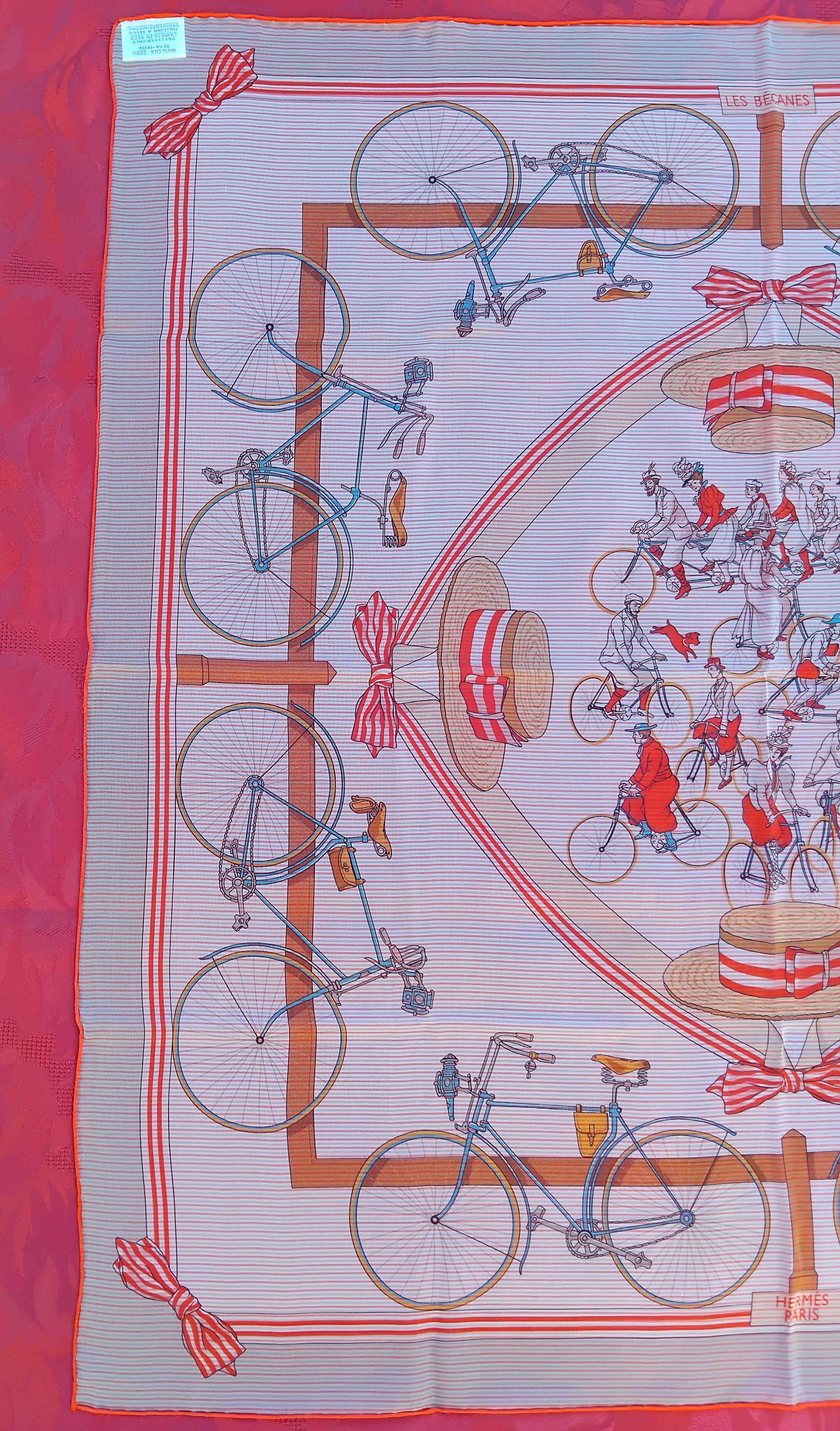 Lovely and Rare Authentic Hermès Scarf

Print: “LES BECANES
