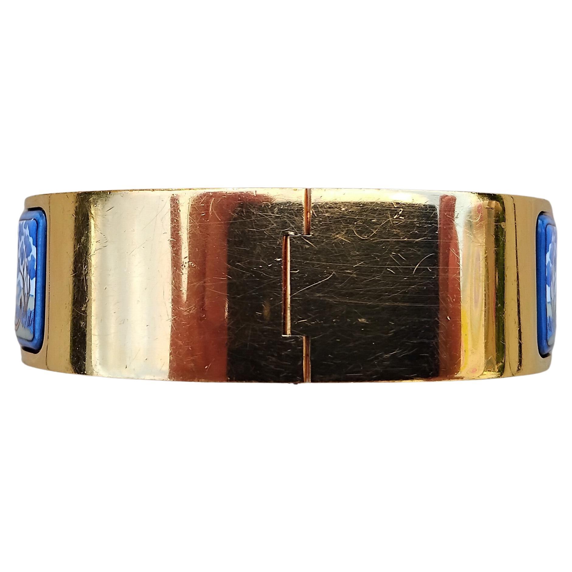 Hermès Clic Clac Emaille-Armband Löwen und Löwinnen in Savanne Ghw im Angebot 2