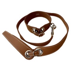 Hermès Collar and Leash Set for Pet Dog