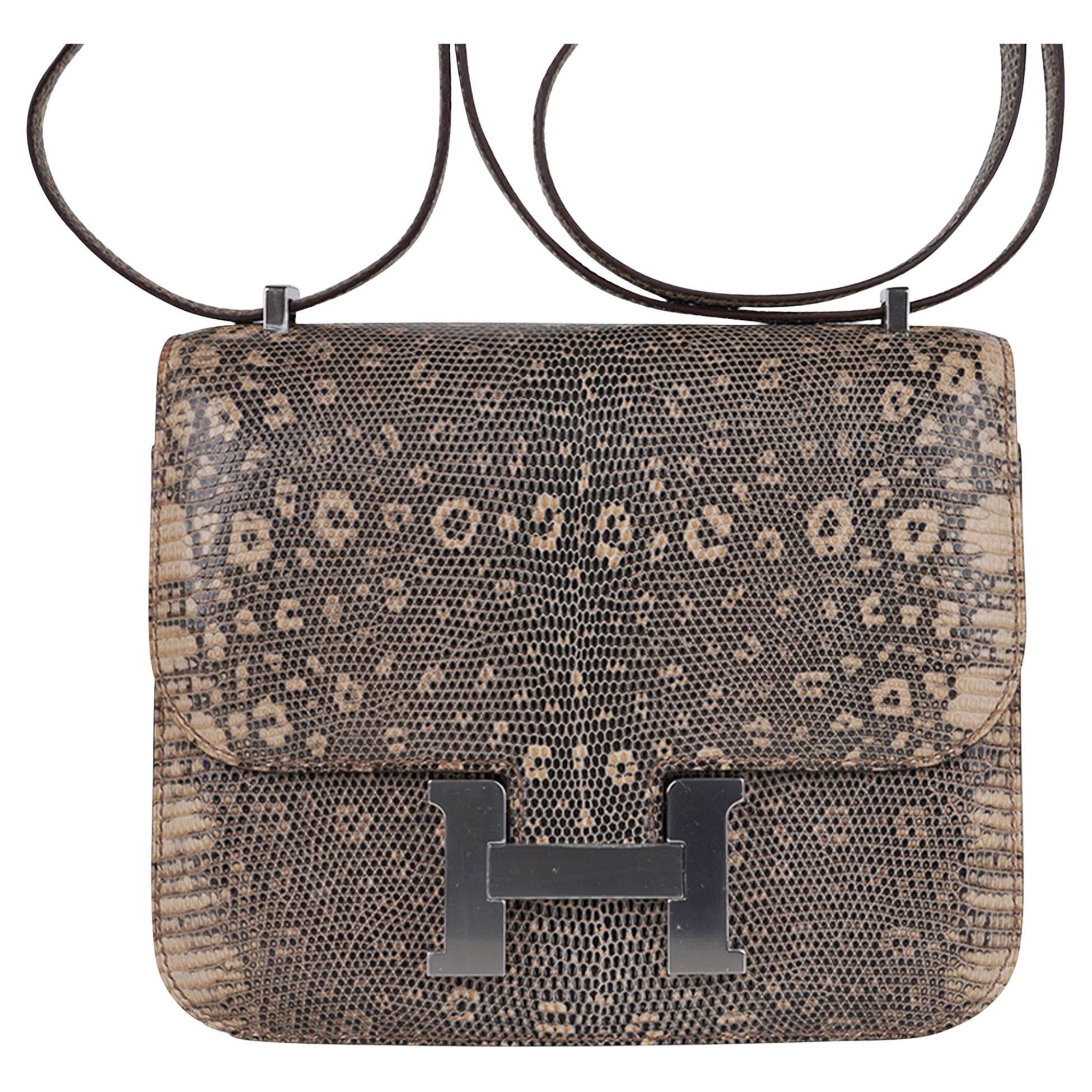 Hermes Constance 18 Wüste Eidechse Tasche Palladium Hardware