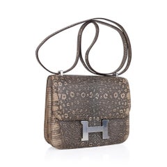 Hermes Constance 18 Desert Lizard Bag Palladium Hardware