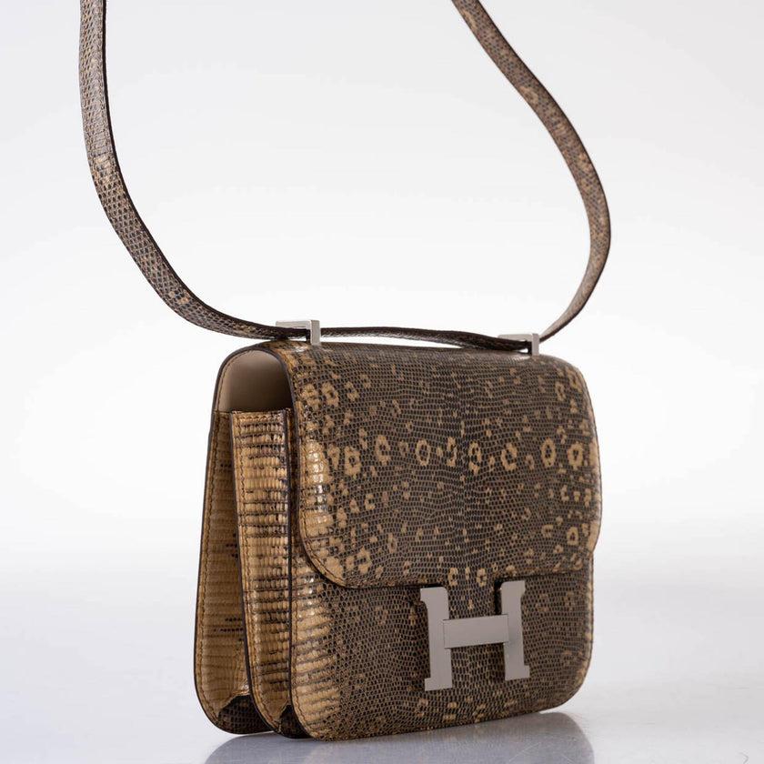 Hermès Constance 18 Ombré Salvator Lizard Palladium Hardware Crossbody Bag For Sale 1