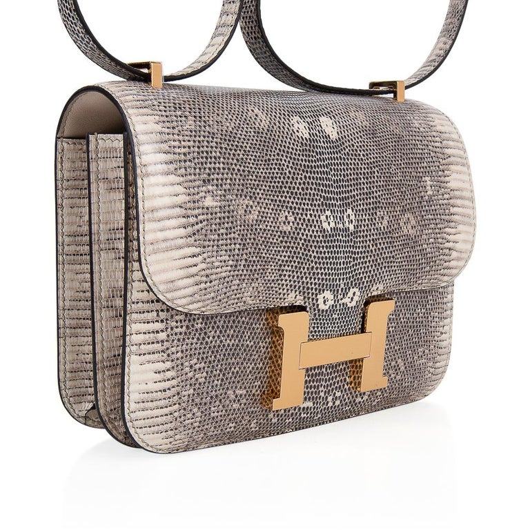 Hermes Constance 24 Gold Madame Leather Ombre Lizard Shoulder Bag 2021 New  at 1stDibs