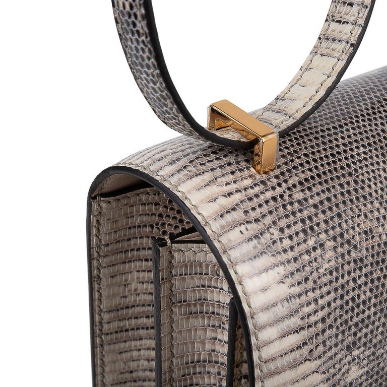 Hermès Constance 18 Ombré Salvator Lizard Palladium Hardware Crossbody Bag  For Sale at 1stDibs