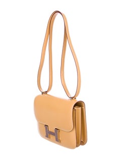Hermes Constance Lizard Inlay Tadelakt Mini