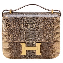 Hermès Constance Mini 18 Ombré Lizard Gold Hardware