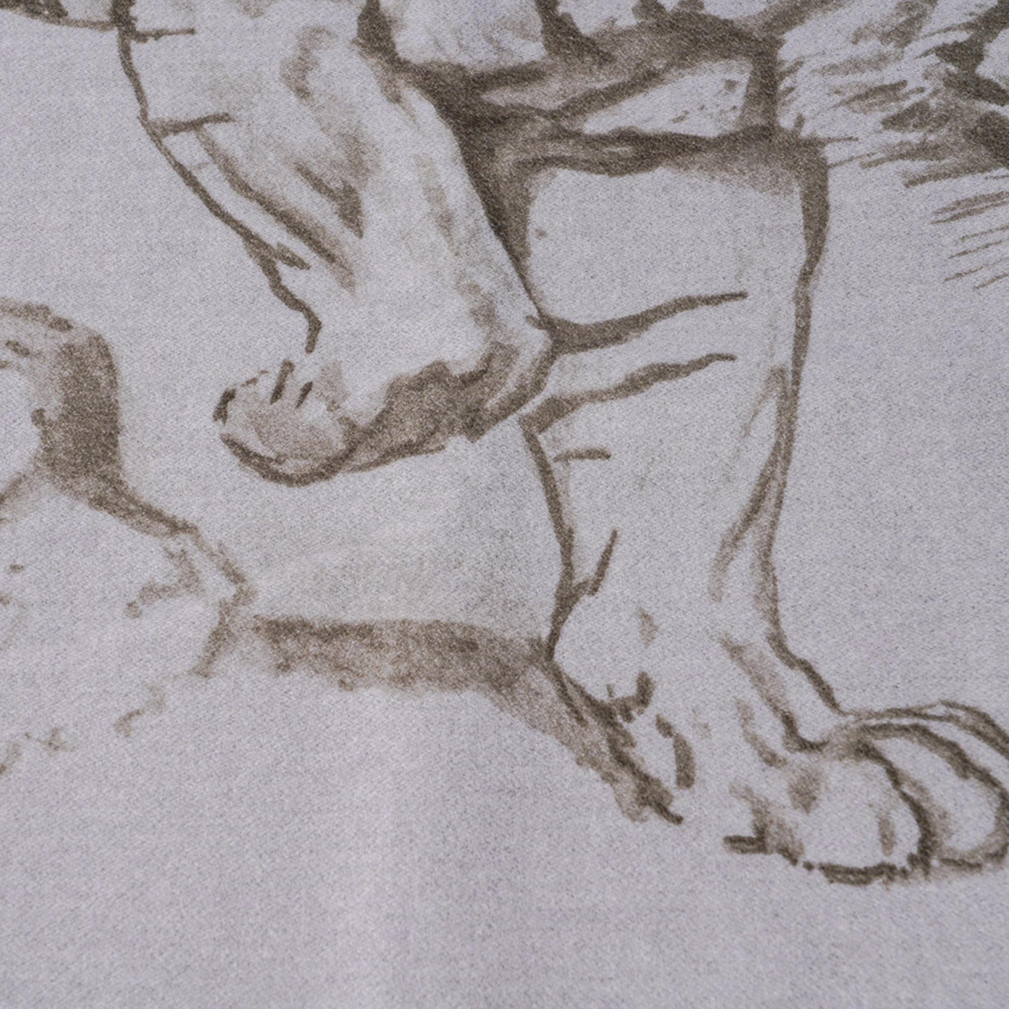 Hermes Croquis De Tigre Blanket Gris Cashmere New w/ Box 2