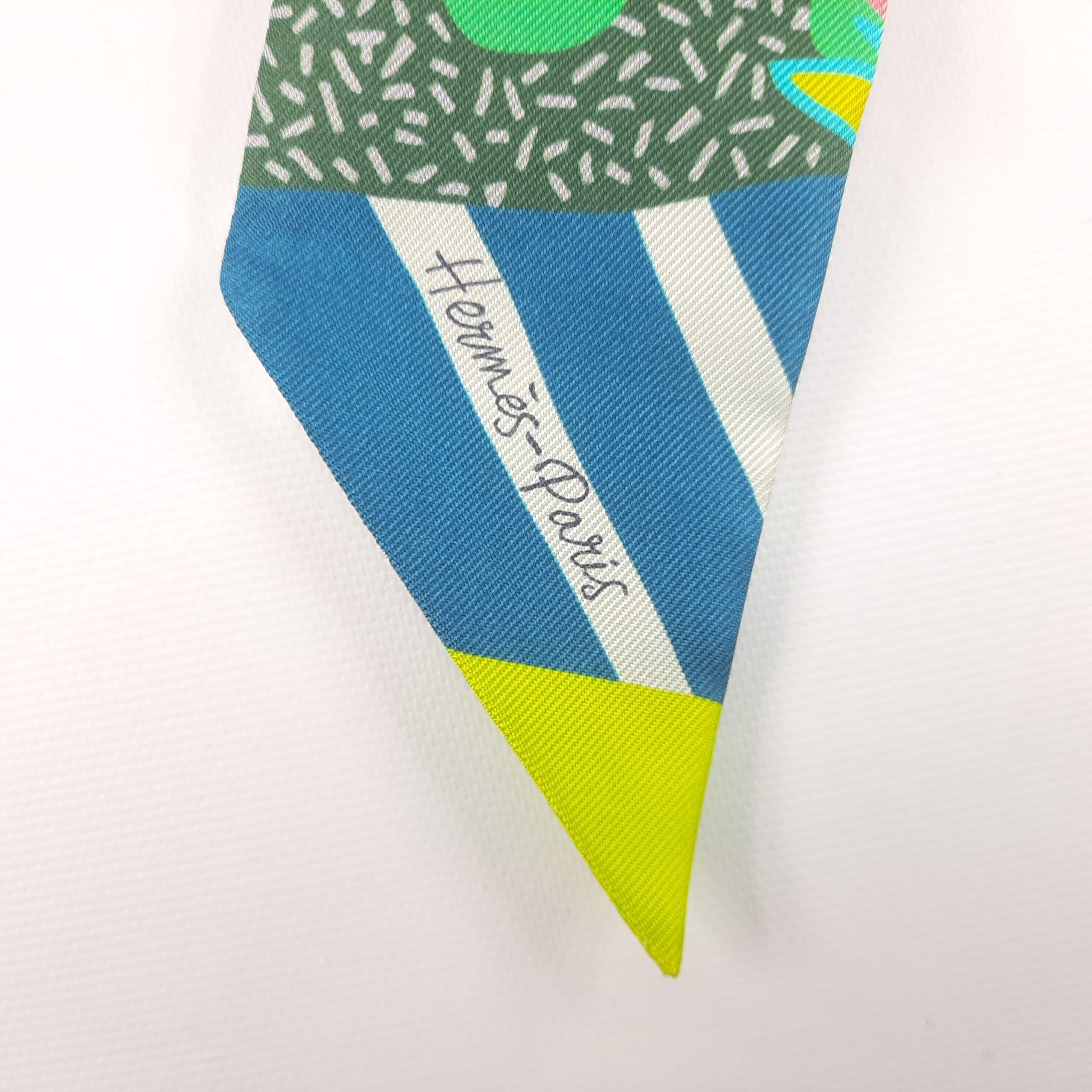 Hermes En Liberte ! Twilly Vert / Cyclamen / Multicolore Silk 1