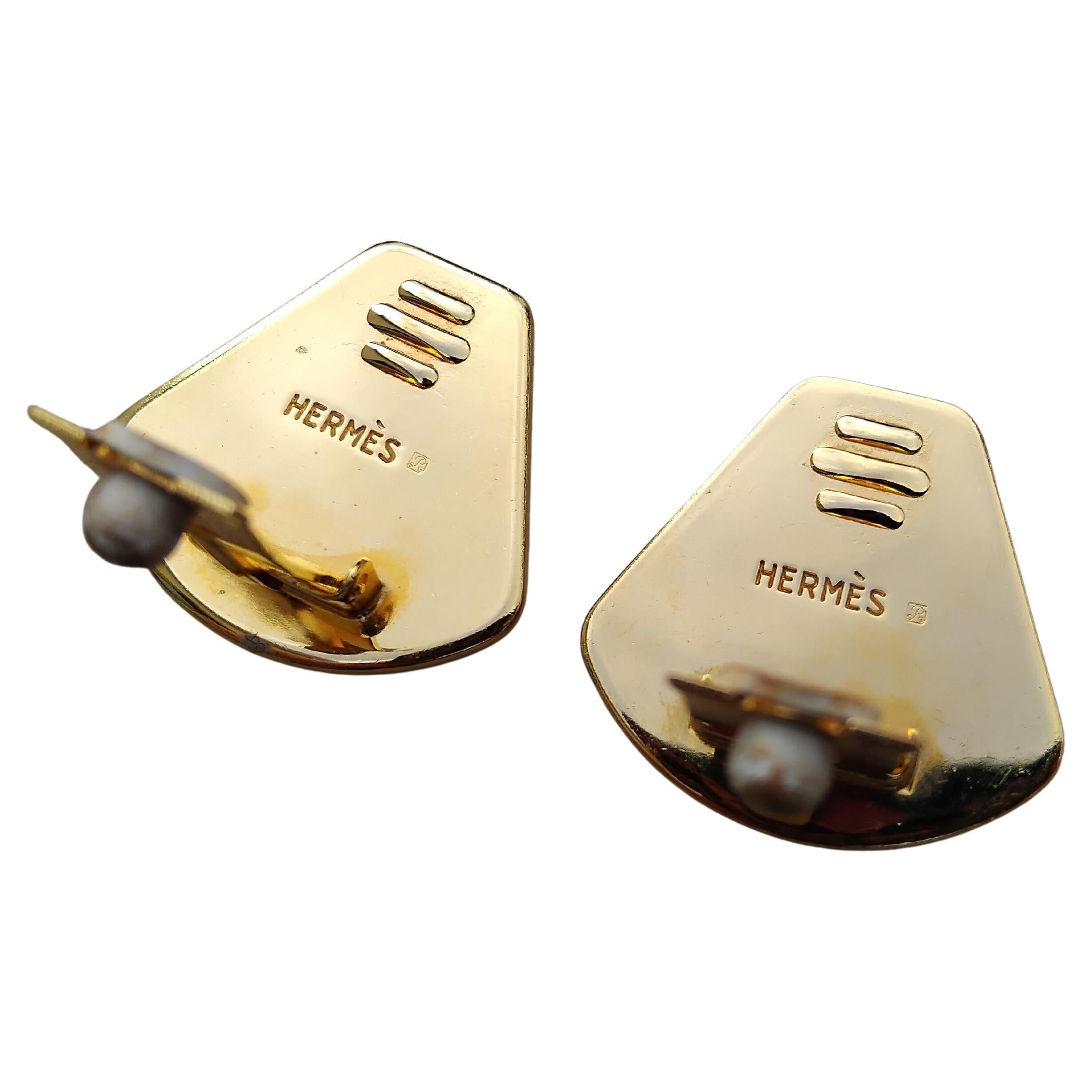 Hermès Emaille-Ohrringe Löwe Löwin Afrika Goldene Hardware im Angebot 4