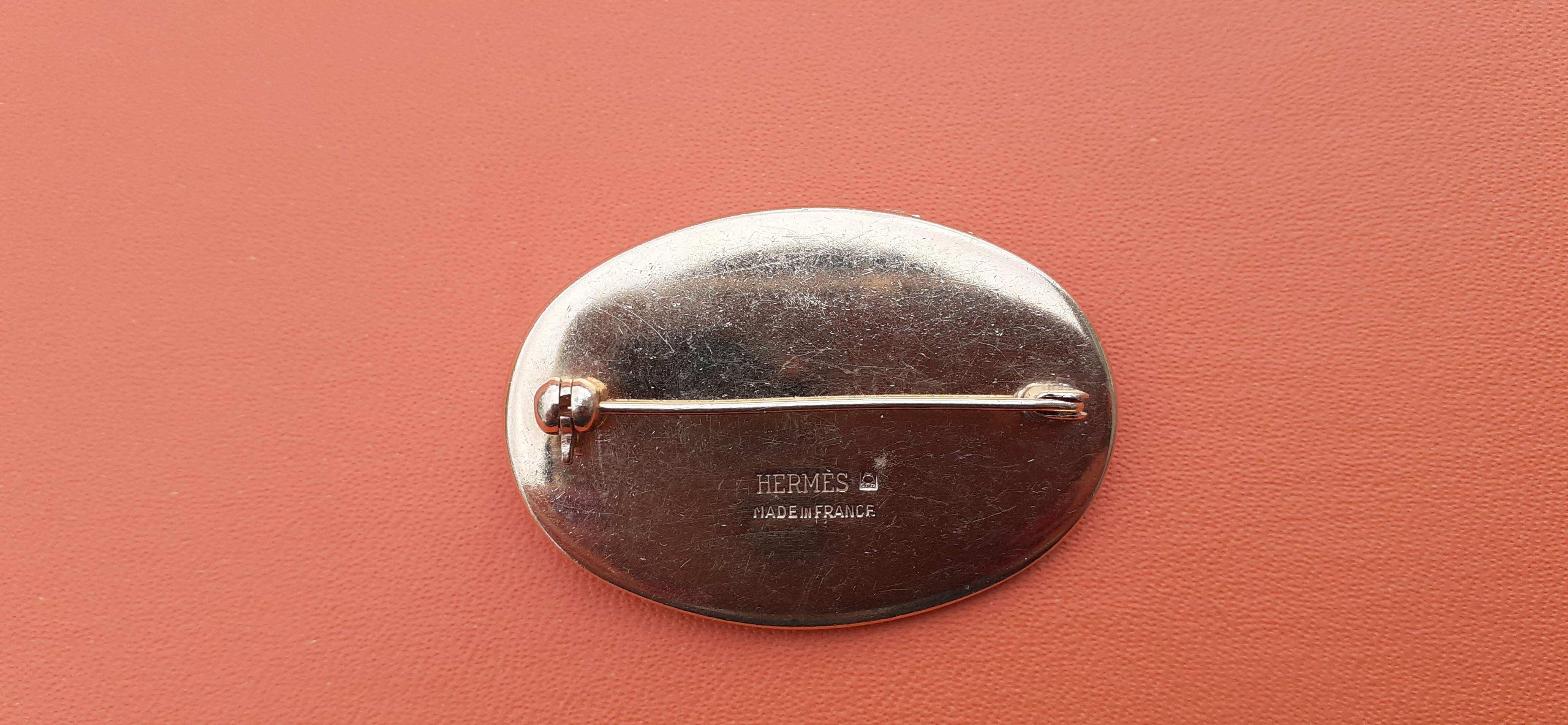 Hermès Emaillé Imprimé Canard Or Hdw en vente 10