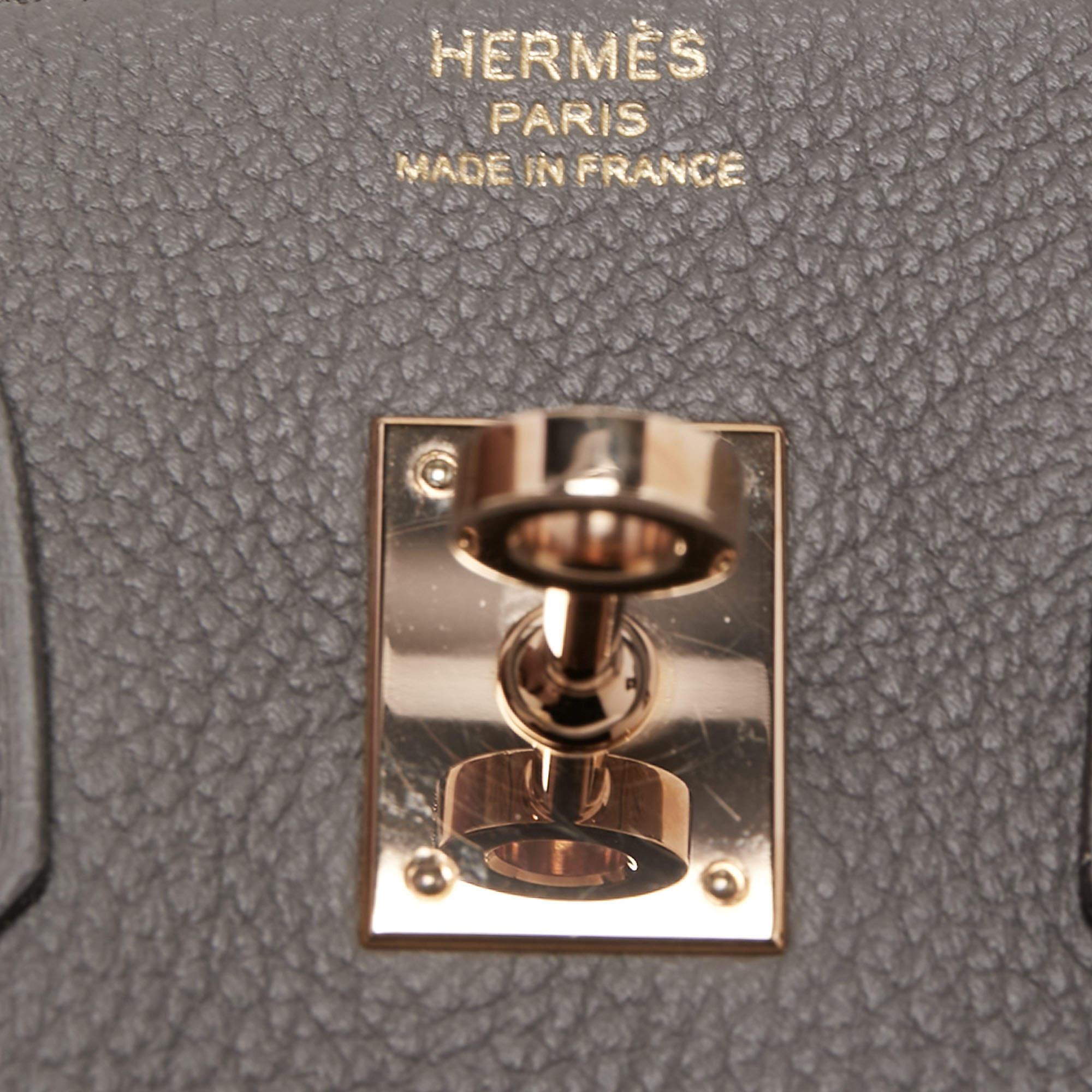 Hermes Etain Togo Leather Gold Finish Birkin 25 Bag 4