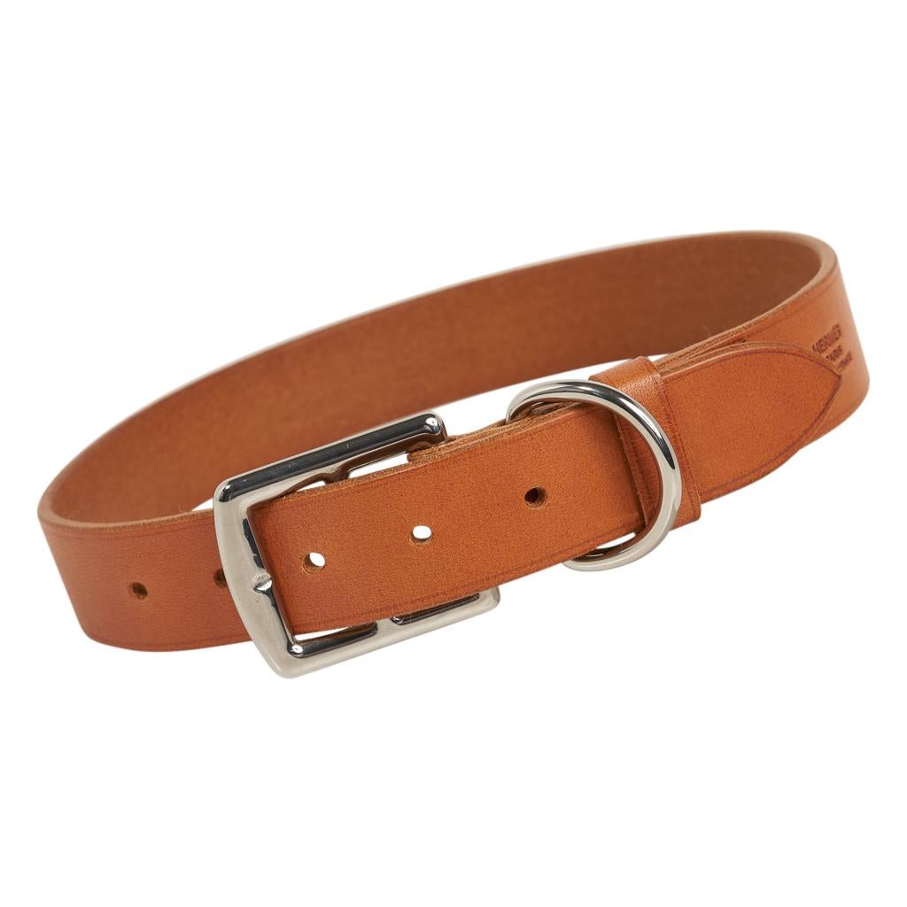 Women's or Men's Hermes Etriviere Dog Collar Large Model New For Sale