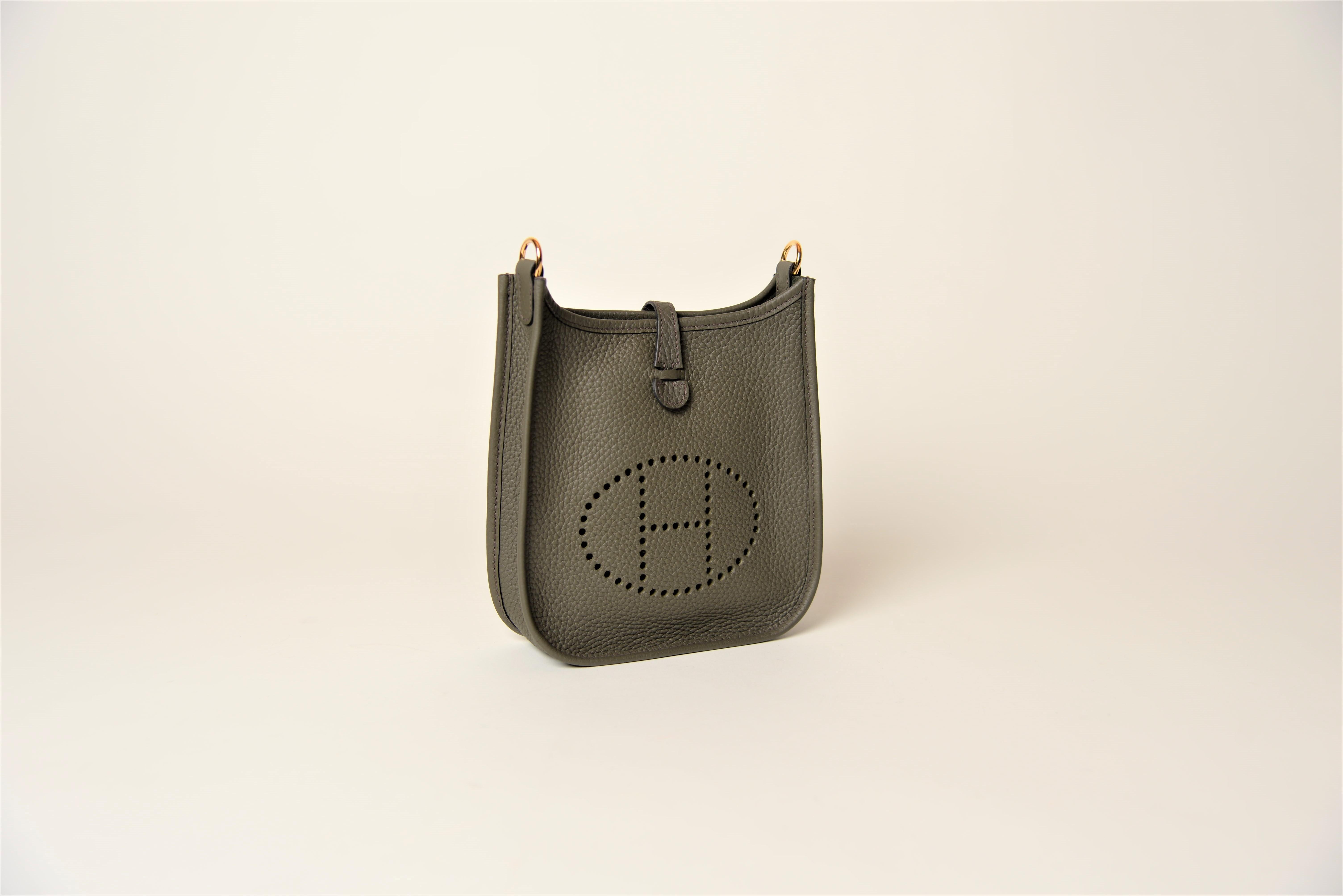 hermes evelyne mini