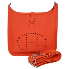 Hermes Evelyne PM Bag Feu Crossbody Clemence Leather Palladium Hardware