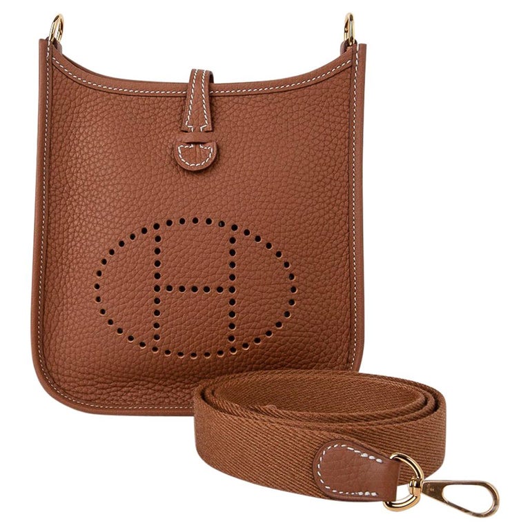 hermes evelyne mini style