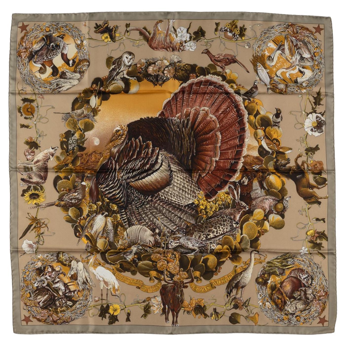Sciarpa "Faune et Flore du Texas" di Hermès