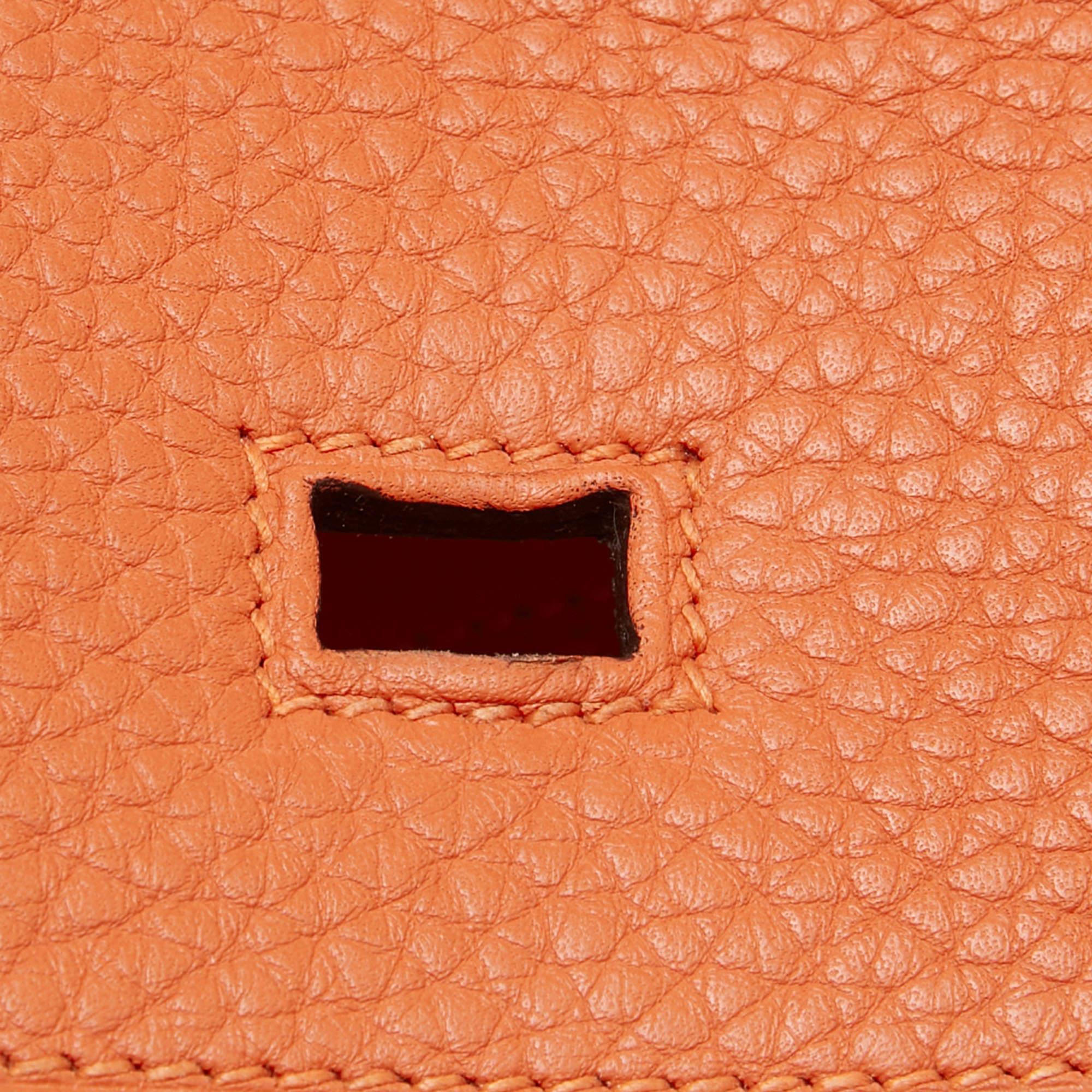 Hermes Feu Taurillon Clemence Palladium Finish Birkin 35 Bag 3
