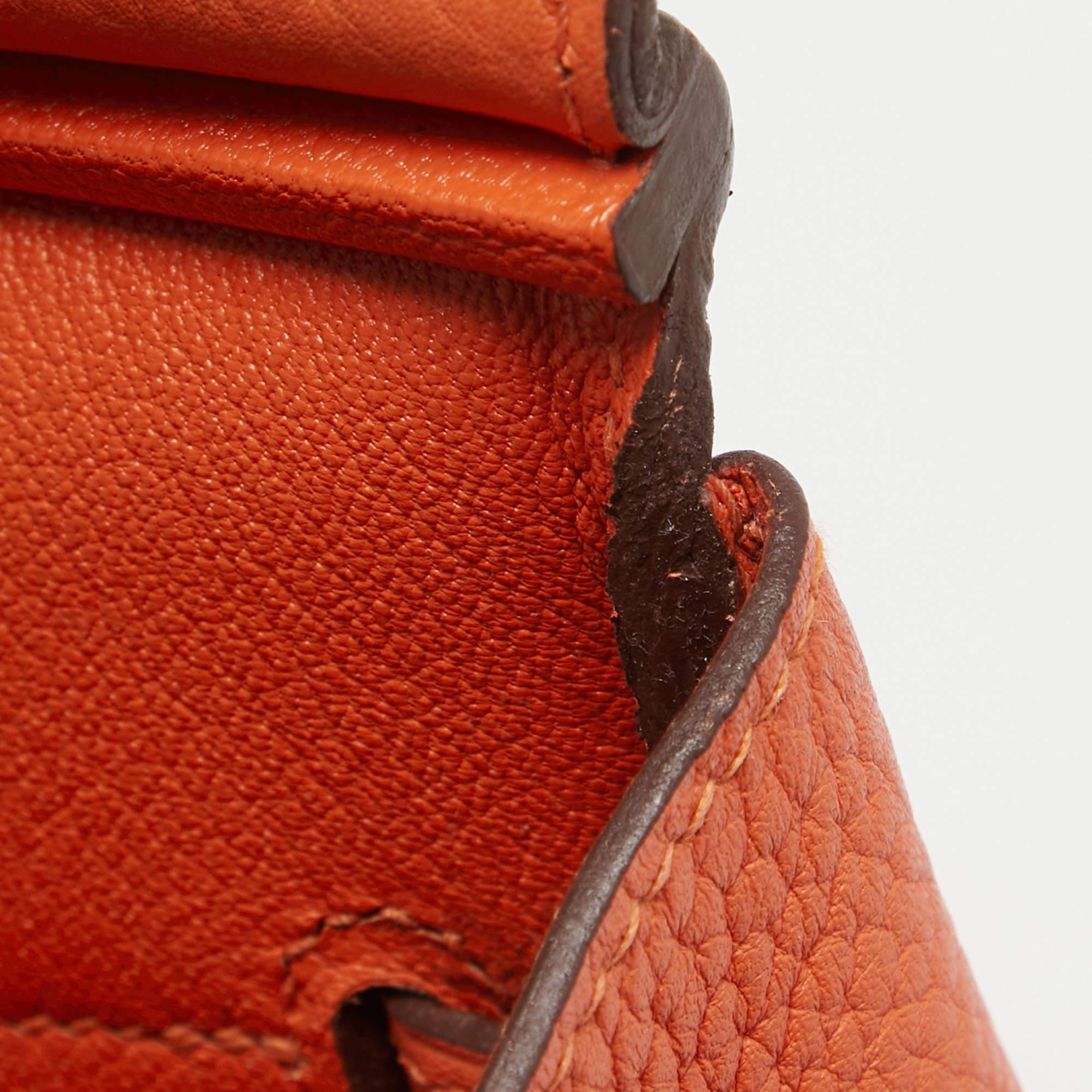 Hermes Feu Taurillon Clemence Palladium Finish Birkin 35 Bag 4