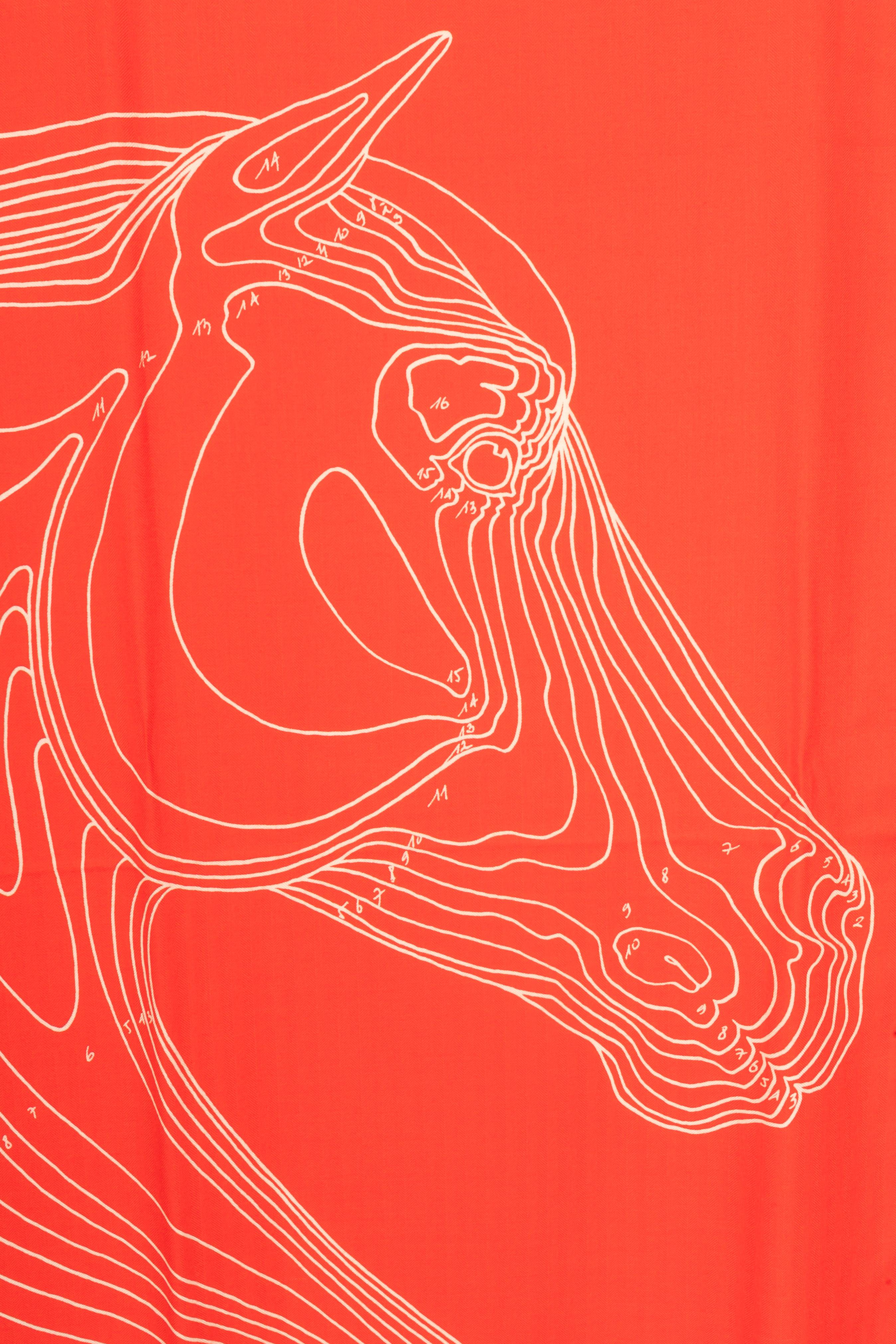 Rosso Foulard Hermès 