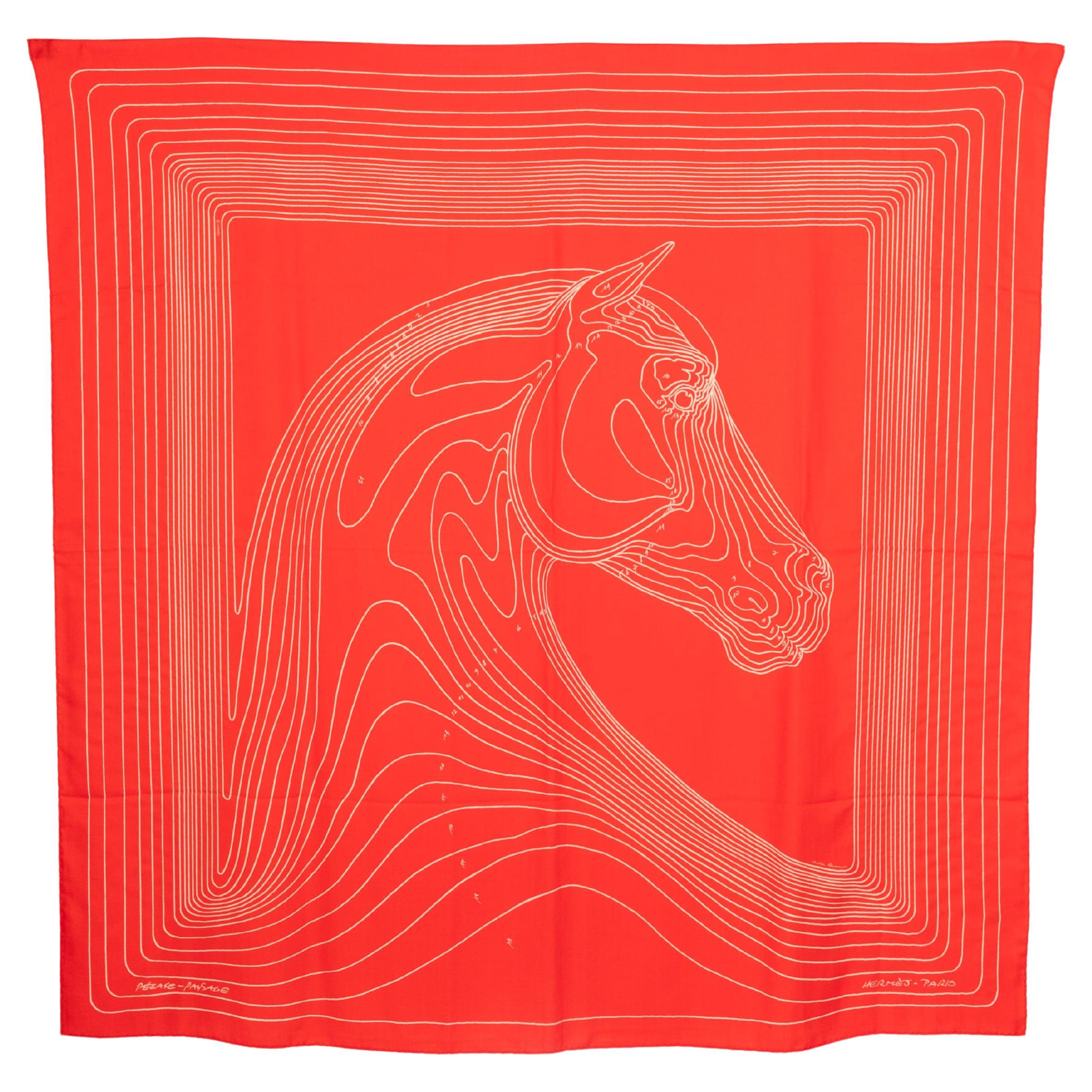 Hermès foulard 'Pegasus landscape'