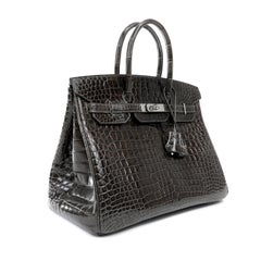 Hermès Graphite Crocodile 35 cm Birkin with Palladium Hardware