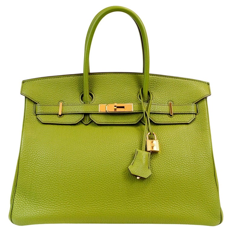 Hermes Birkin Bag Canvas Gold Hardware In Green