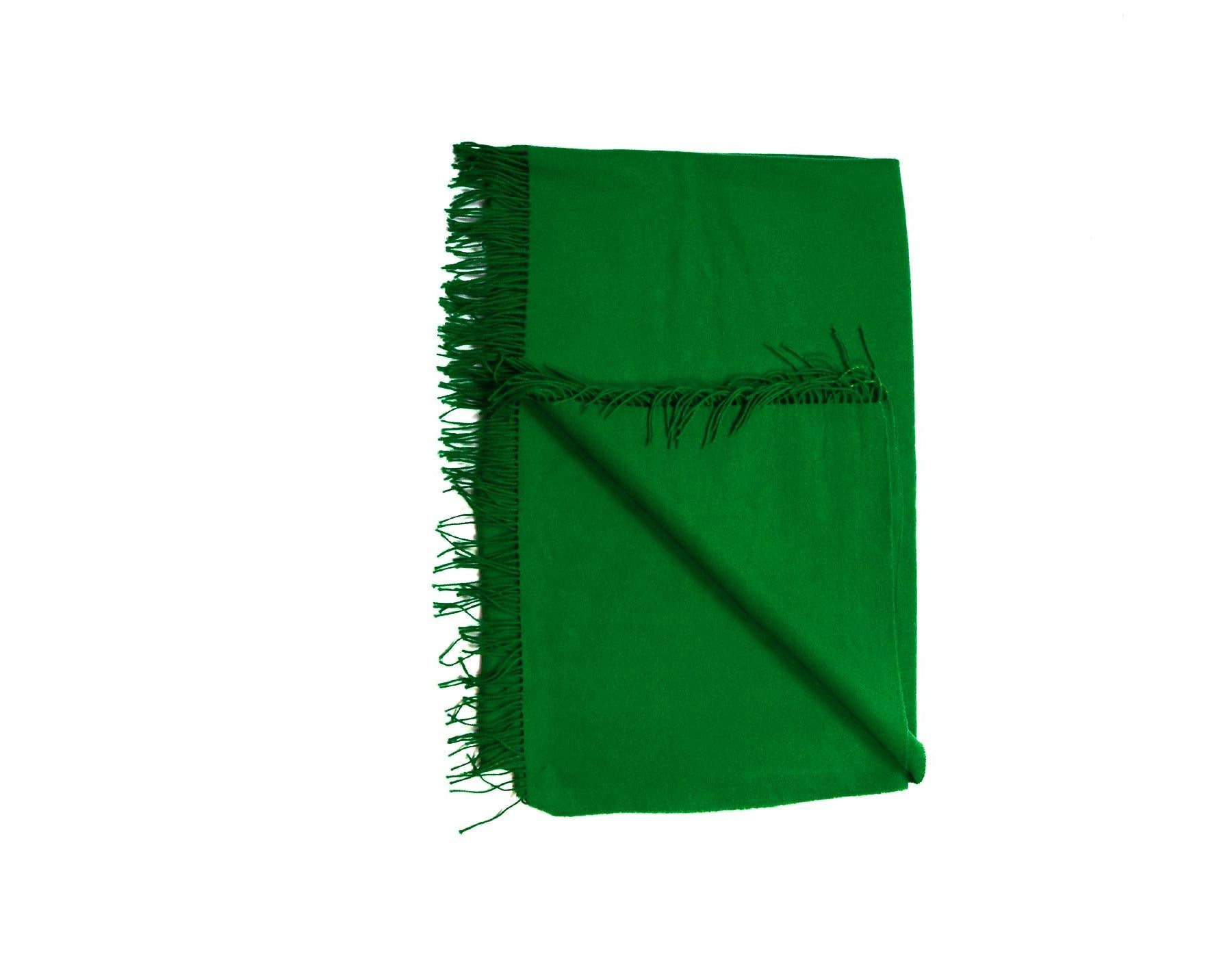hermes green scarf