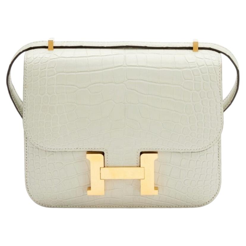 Hermès Gris Neve Mississippi Matte Alligator Mini Constance 18
