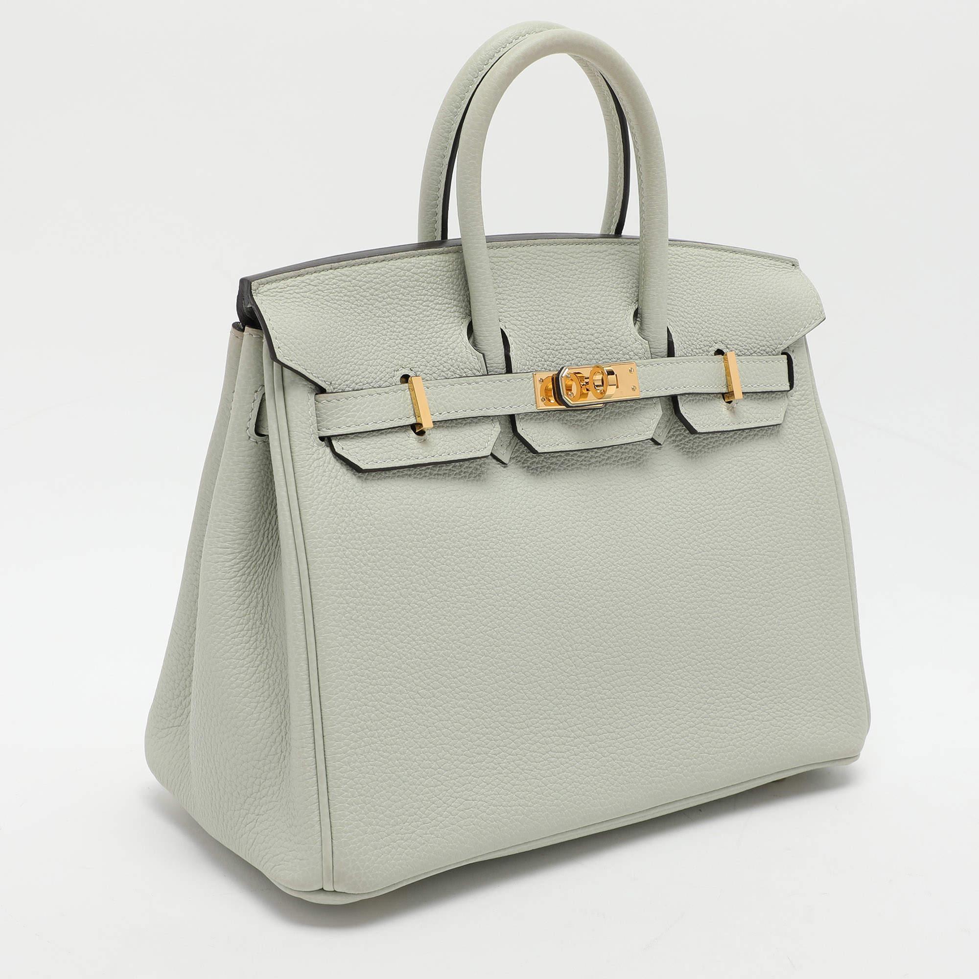Gray Hermes Gris Neve Togo Leather Birkin 25 Bag