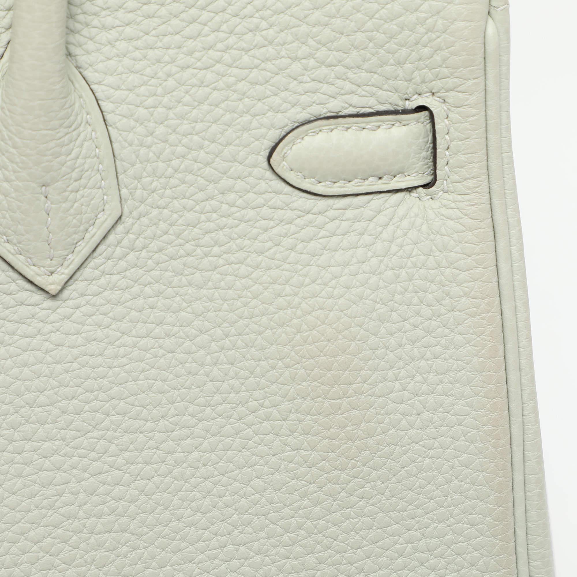 Women's Hermes Gris Neve Togo Leather Birkin 25 Bag