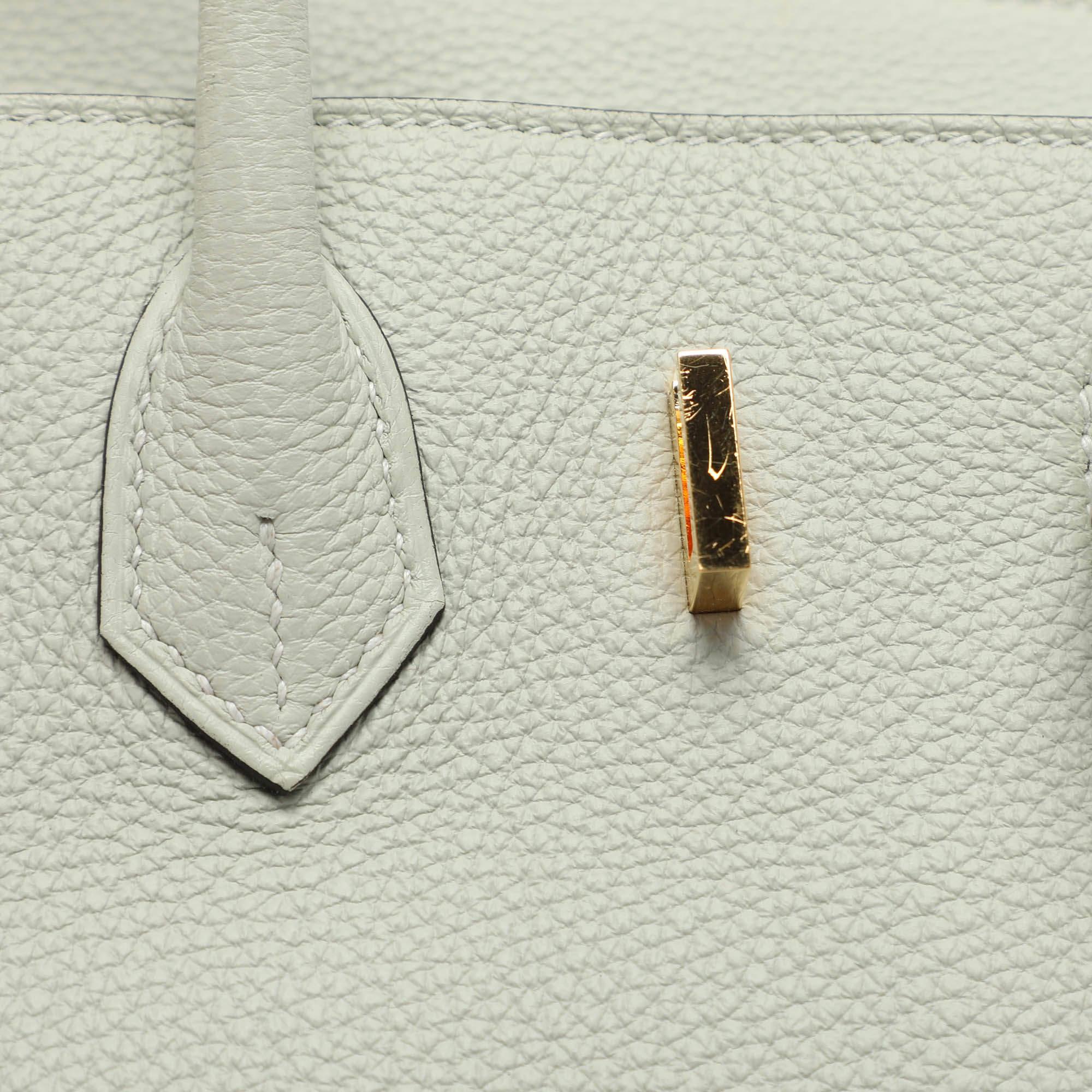 Hermes Gris Neve Togo Leather Birkin 25 Bag 3