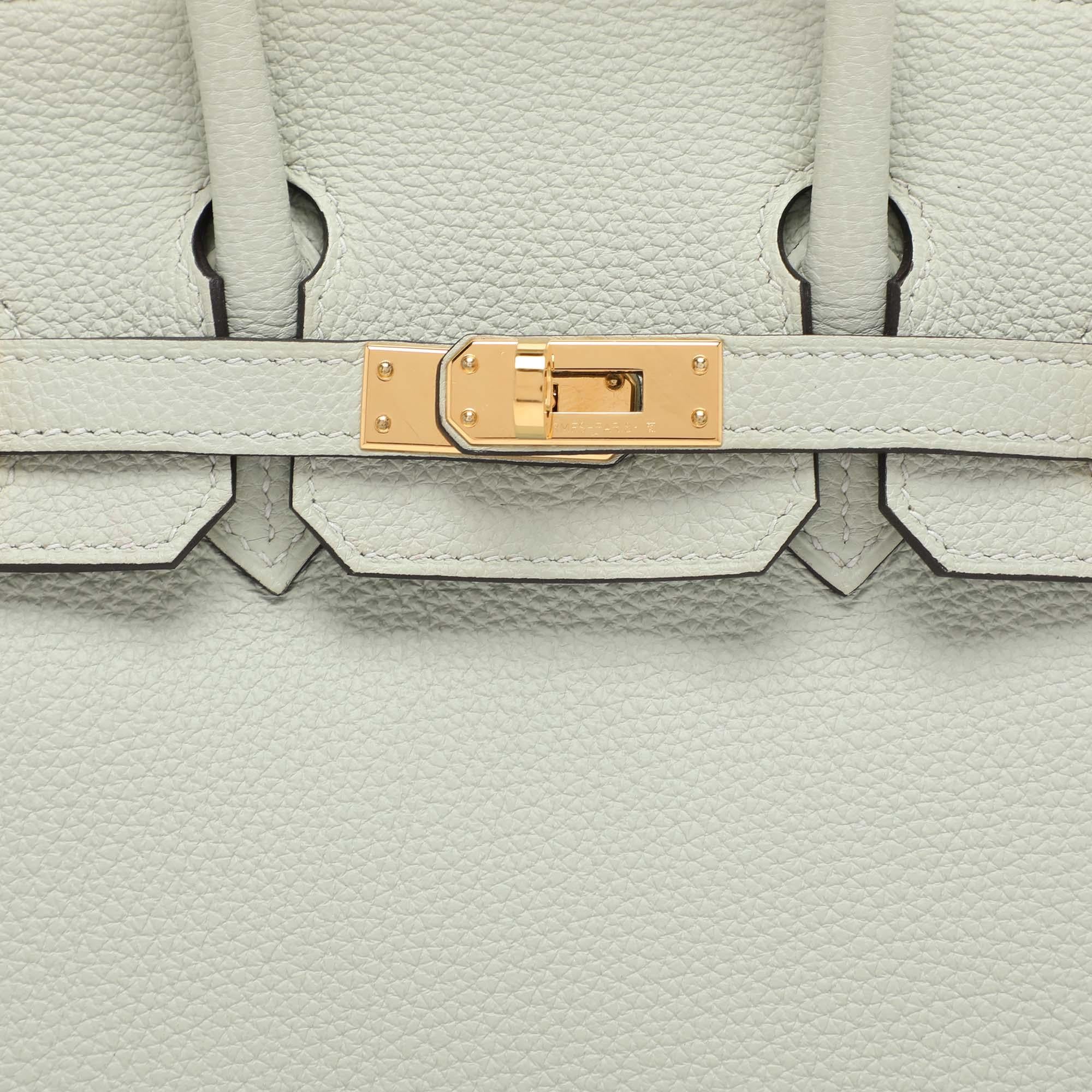 Hermes Gris Neve Togo Leather Birkin 25 Bag 4