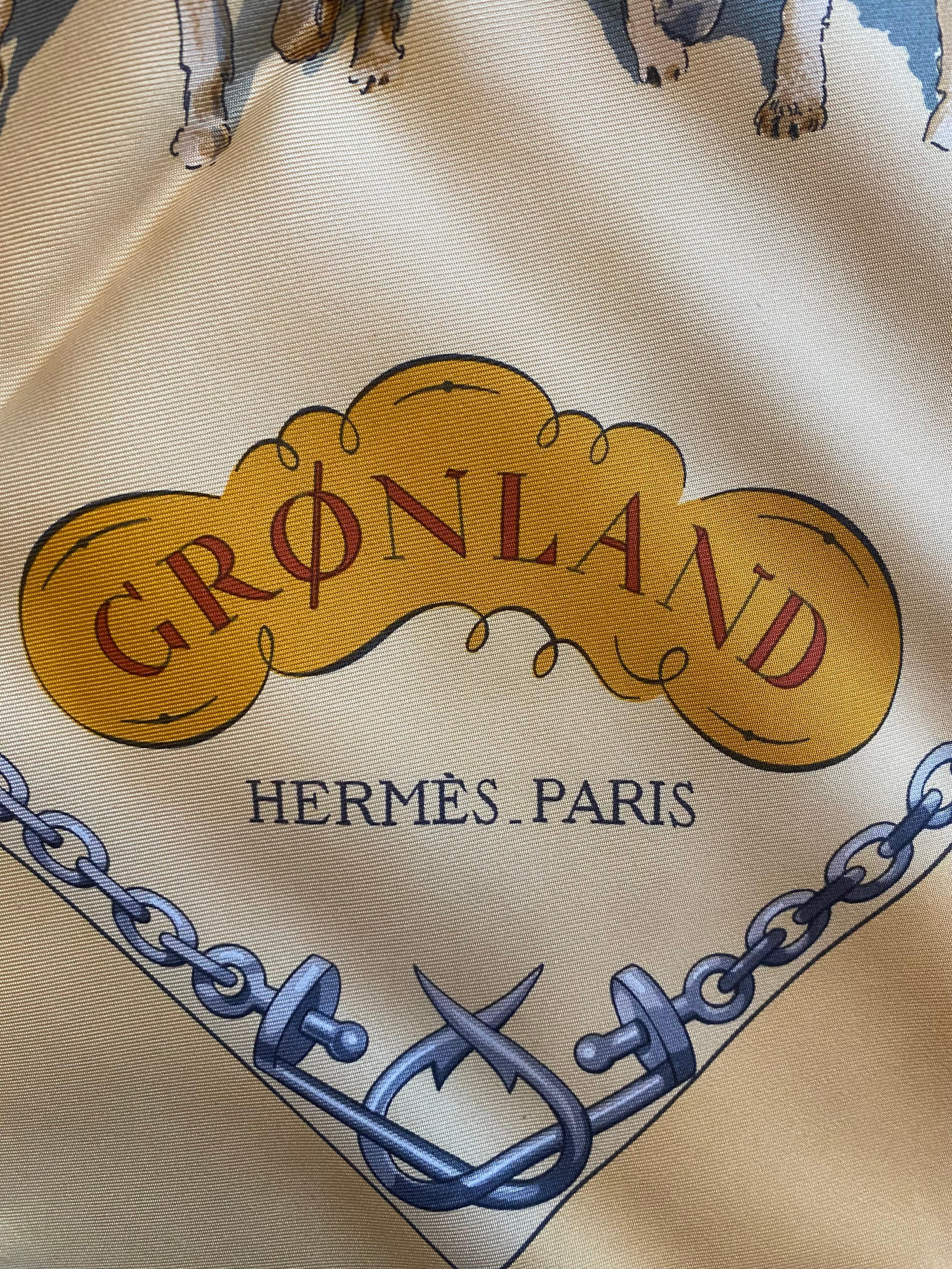 Women's or Men's Hermes Groenland Silk Scarf For Sale