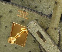 HERMES HAC 32 Green Green Ostrich Exotic Gold Hardware Top Handle Tote Bag