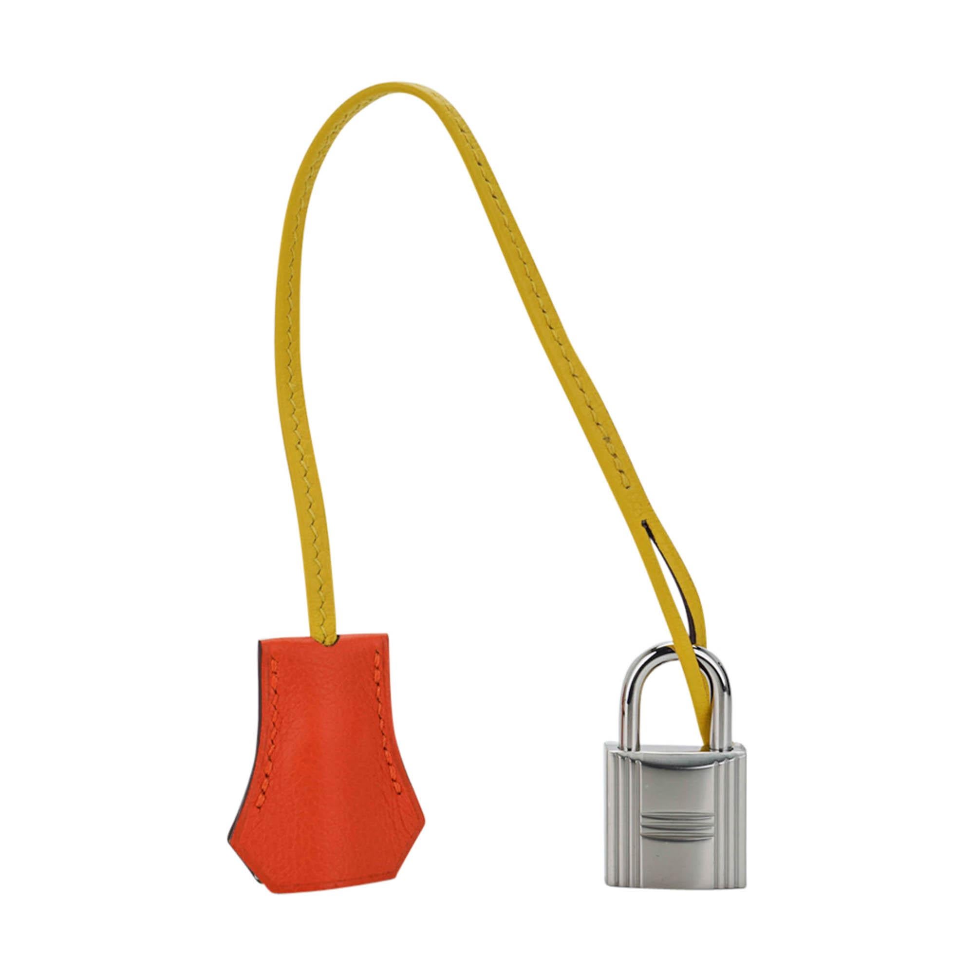 Hermes Hac a Dos PM Sac à dos Caban Tricolor Togo Leather with Palladium Hardware en vente 2