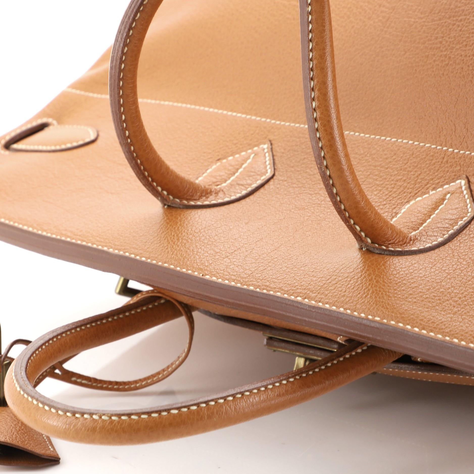 Hermes HAC Birkin Bag Gold Buffalo Skipper With Gold Hardware 50 1