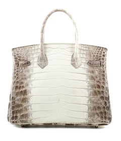 Hermès Himalayan 30 cm Crocodile Birkin Bag