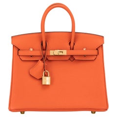 Hermes HSS Birkin 25 Classic Orange and Gold Tan VIP Order Bag W Stamp 2024