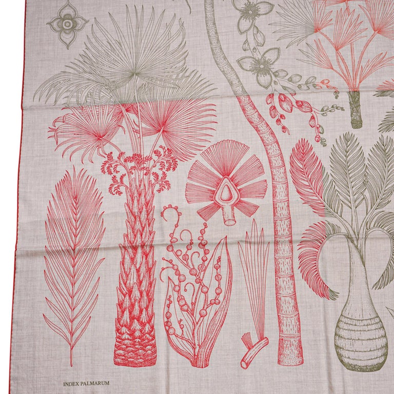 HERMES Carre cashmere silk Karegean INDEX PALMARUM Palm Tree Catalog Stitch Embroidery scarf beige 140