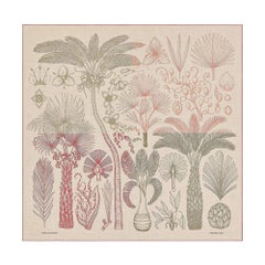 Hermes Index Palmarum Scialle Sciarpa in cashmere 140 cm Nuovo con Scatola