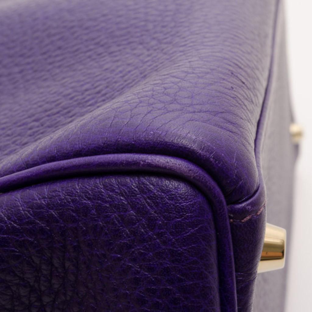 Hermes Iris Togo Leather Gold Hardware Kelly Retourne 40 Bag 5
