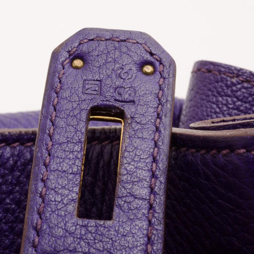 Hermes Iris Togo Leather Gold Hardware Kelly Retourne 40 Bag 4