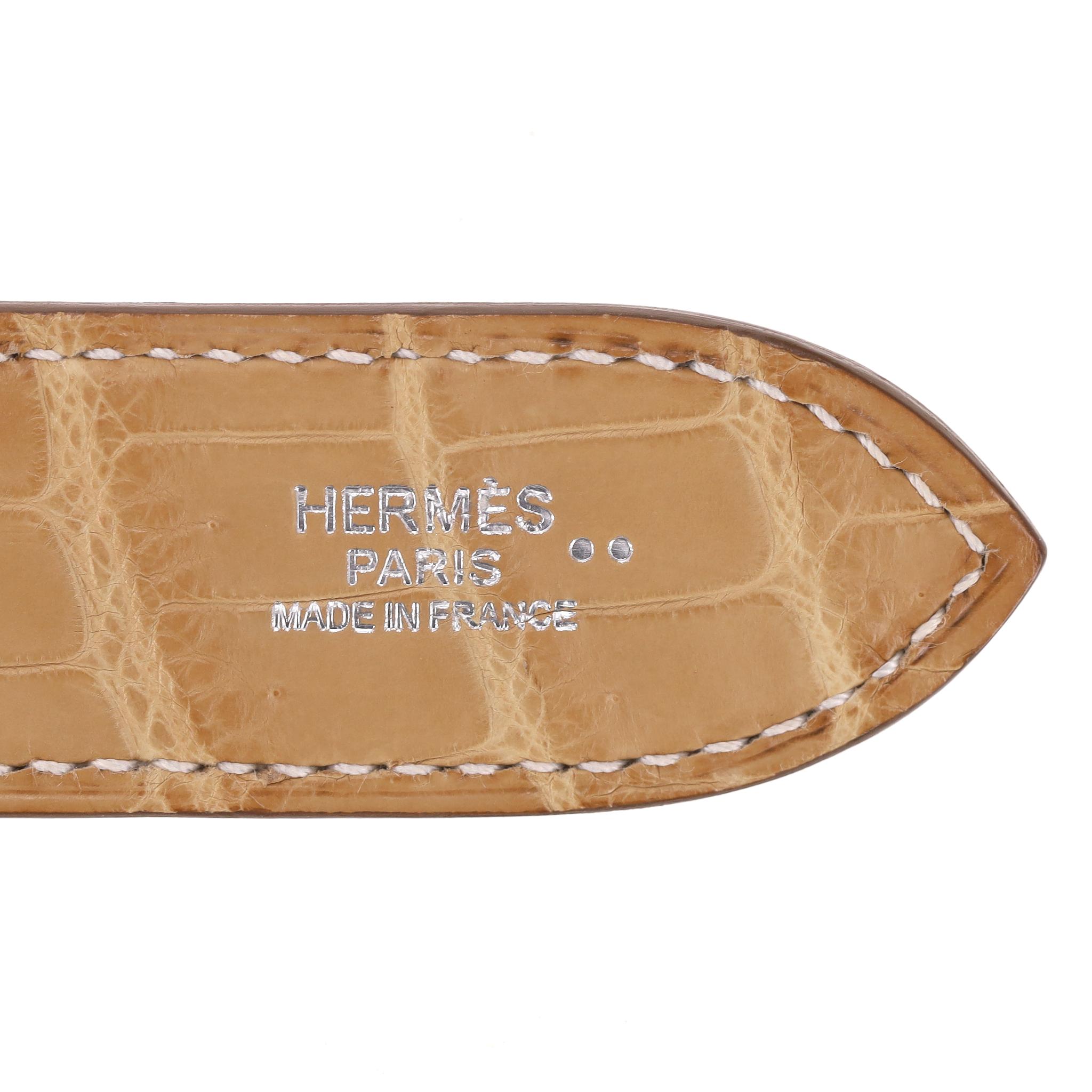 Hermes Jypsiere 28 Matte Crocodile Niloticus Skin Bag For Sale 6