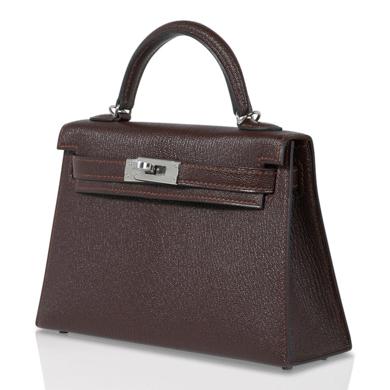 Hermes Kelly 20 Bi-Color Sellier Bag Havane / Etrusque Chevre Palladium ...