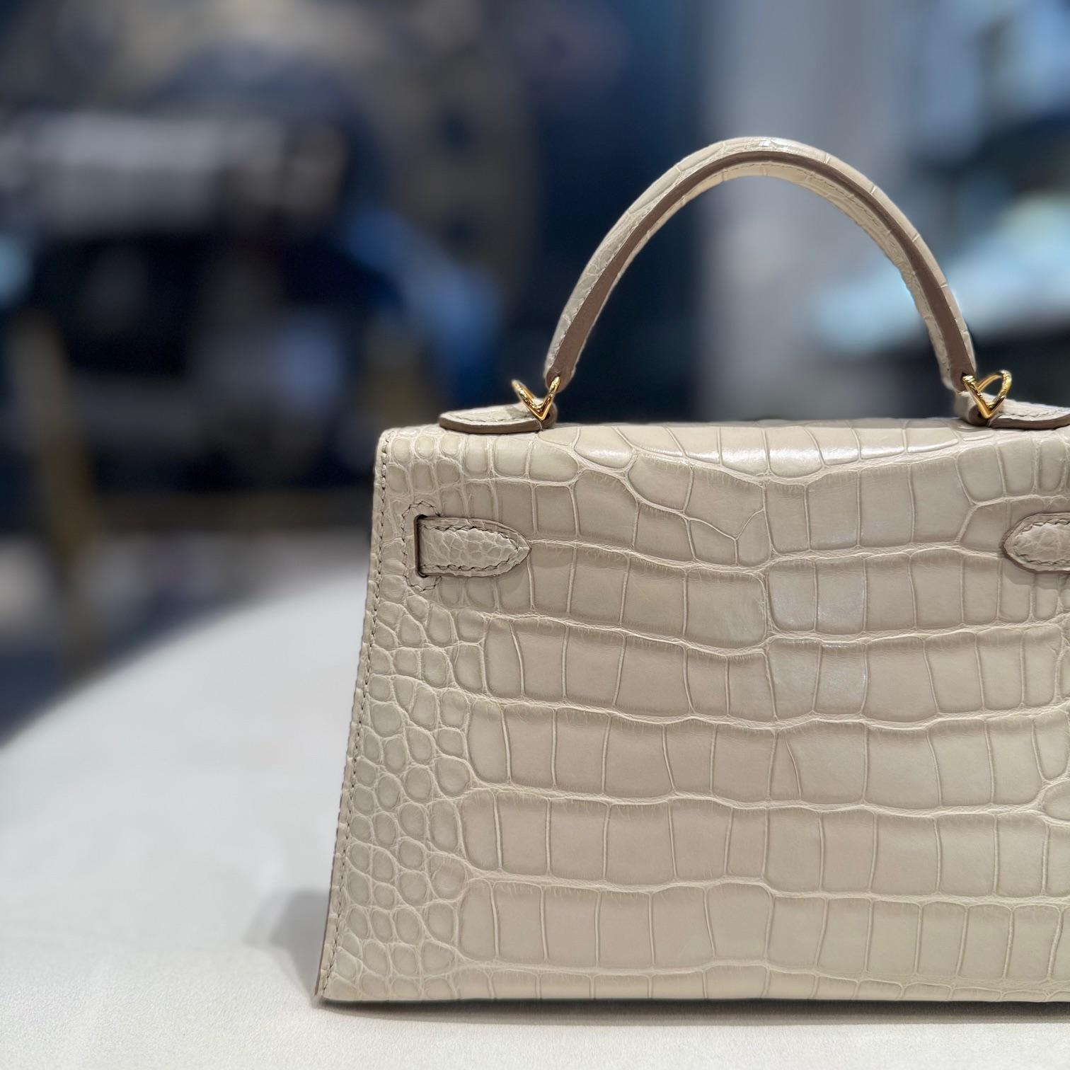Hermès Beton Mini Kelly 20 Sellier Mate Mississippi Alligator Gold Hardware 1