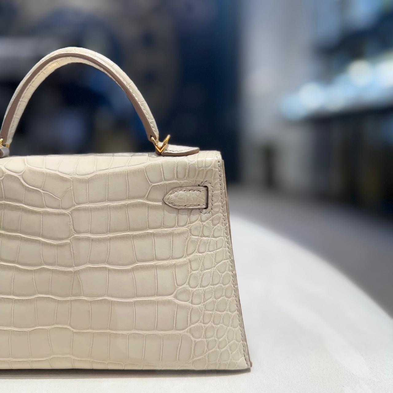 Hermès Beton Mini Kelly 20 Sellier Mate Mississippi Alligator Gold Hardware 2