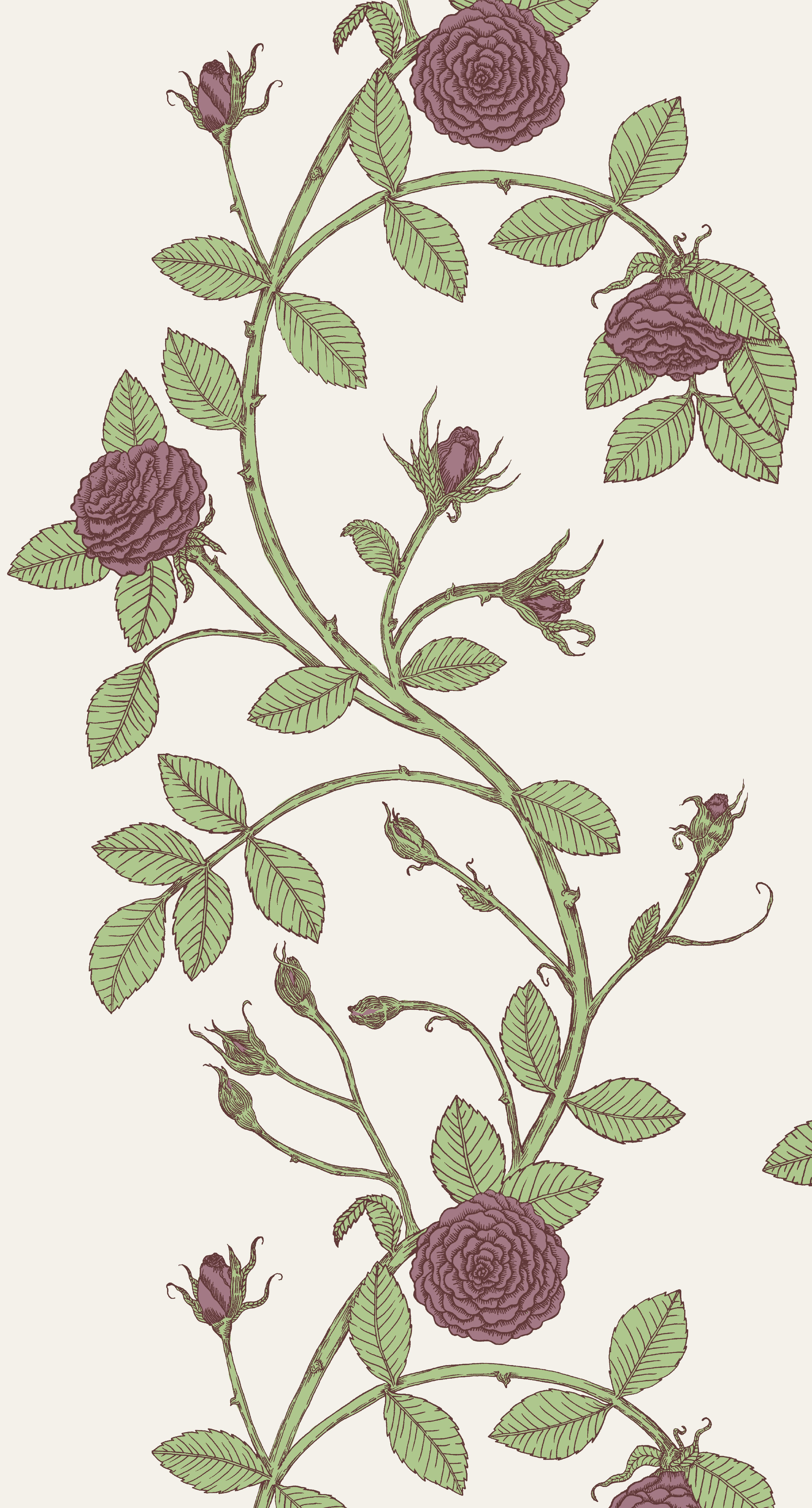 Elva Rose-Floral Print in Color Bella 'Black ground Red Floral' on Smooth Paper For Sale 3